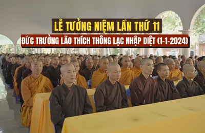 Video Lễ Tưởng Niệm Lần Thứ 11 Đức Trưởng Lão Thích Thông Lạc Nhập Diệt (2024)